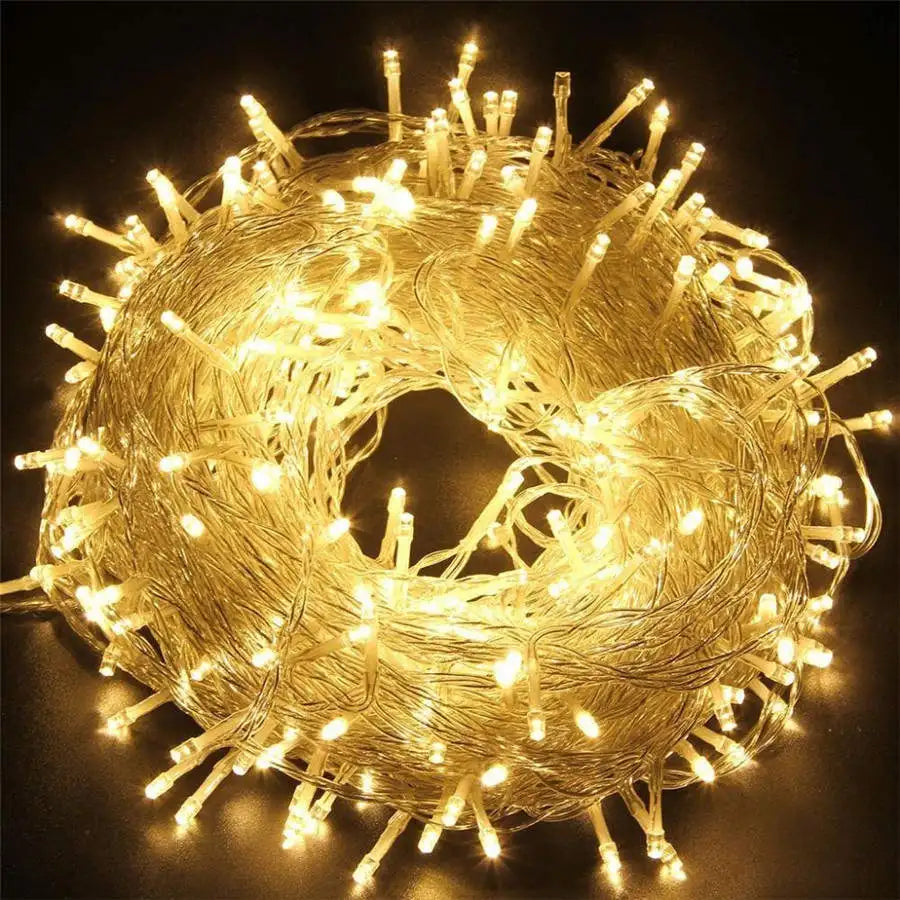 Novelty 600 LEDs 100M Flasher String Lights – Twinkling Fairy Lights for Outdoor/Indoor Decor, Perfect for Wedding, Party, and Christmas Tree Decorations